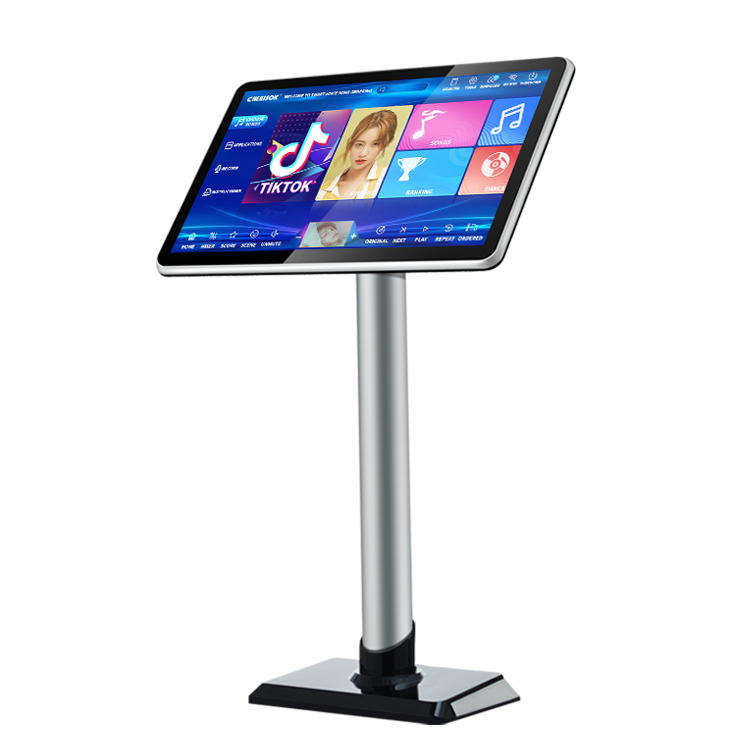 Home Bar Android - 40W Chinesisches Karaoke-Player-System mit allen 19